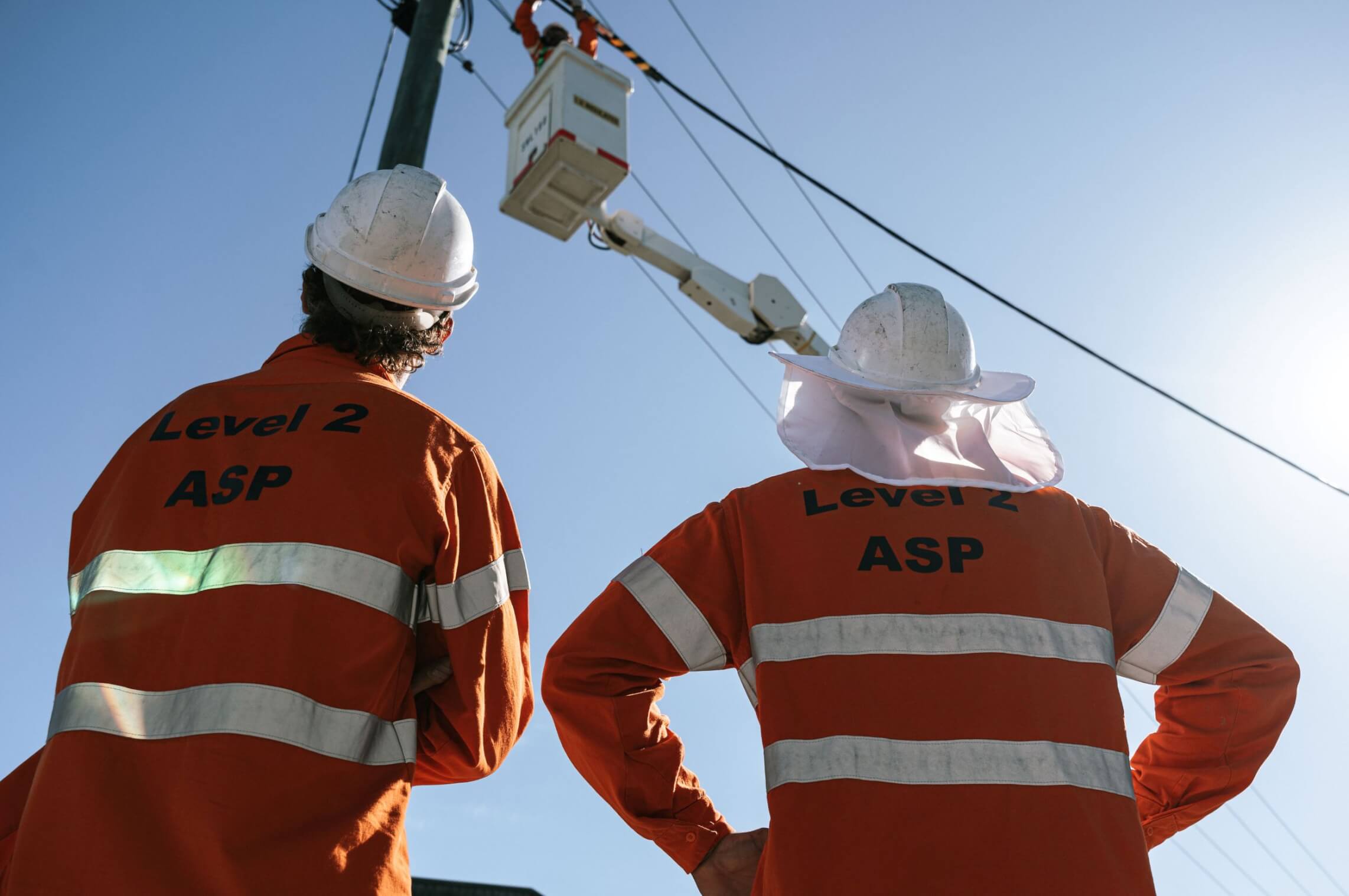 Macleayelec