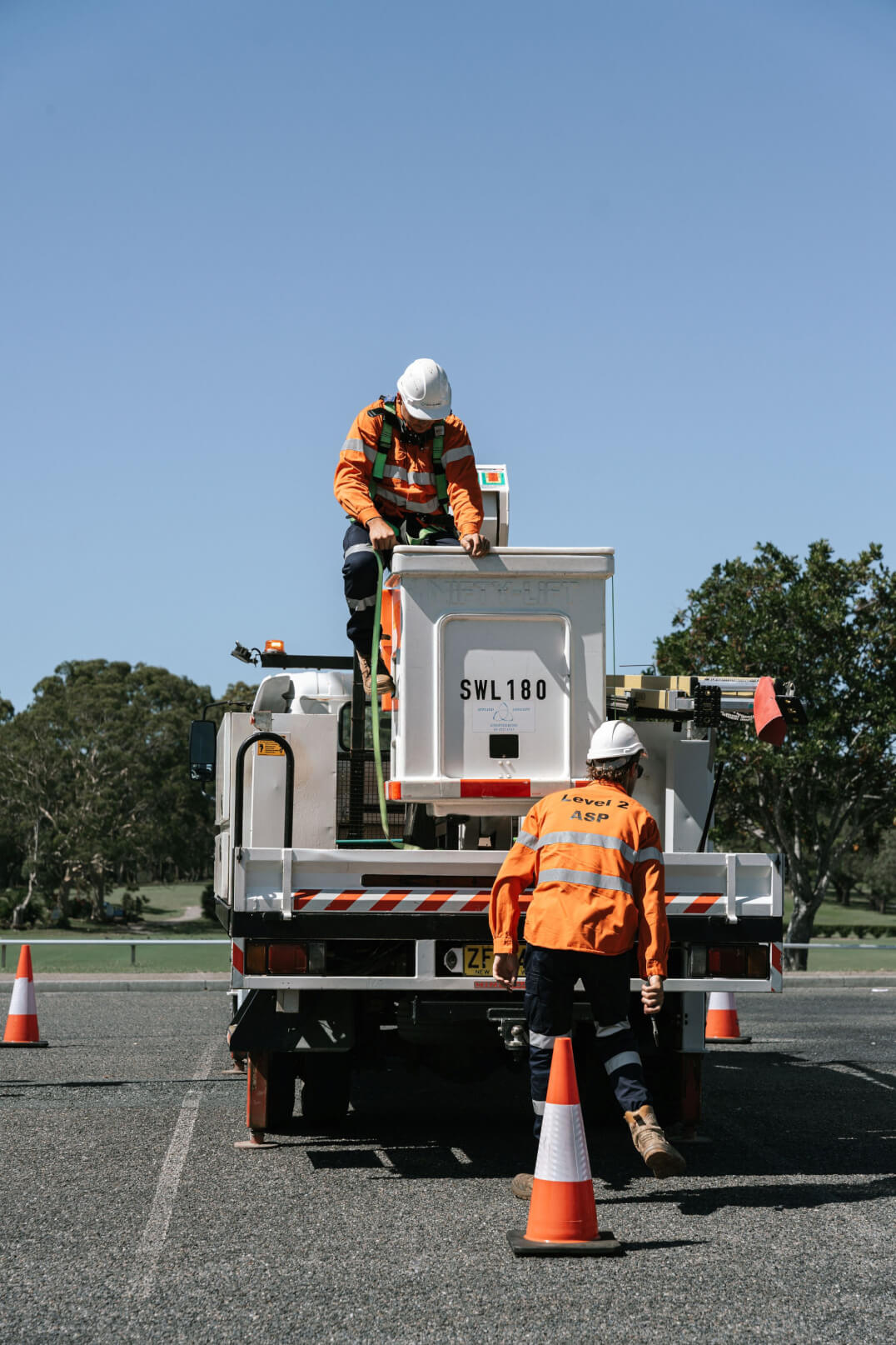 Macleayelec