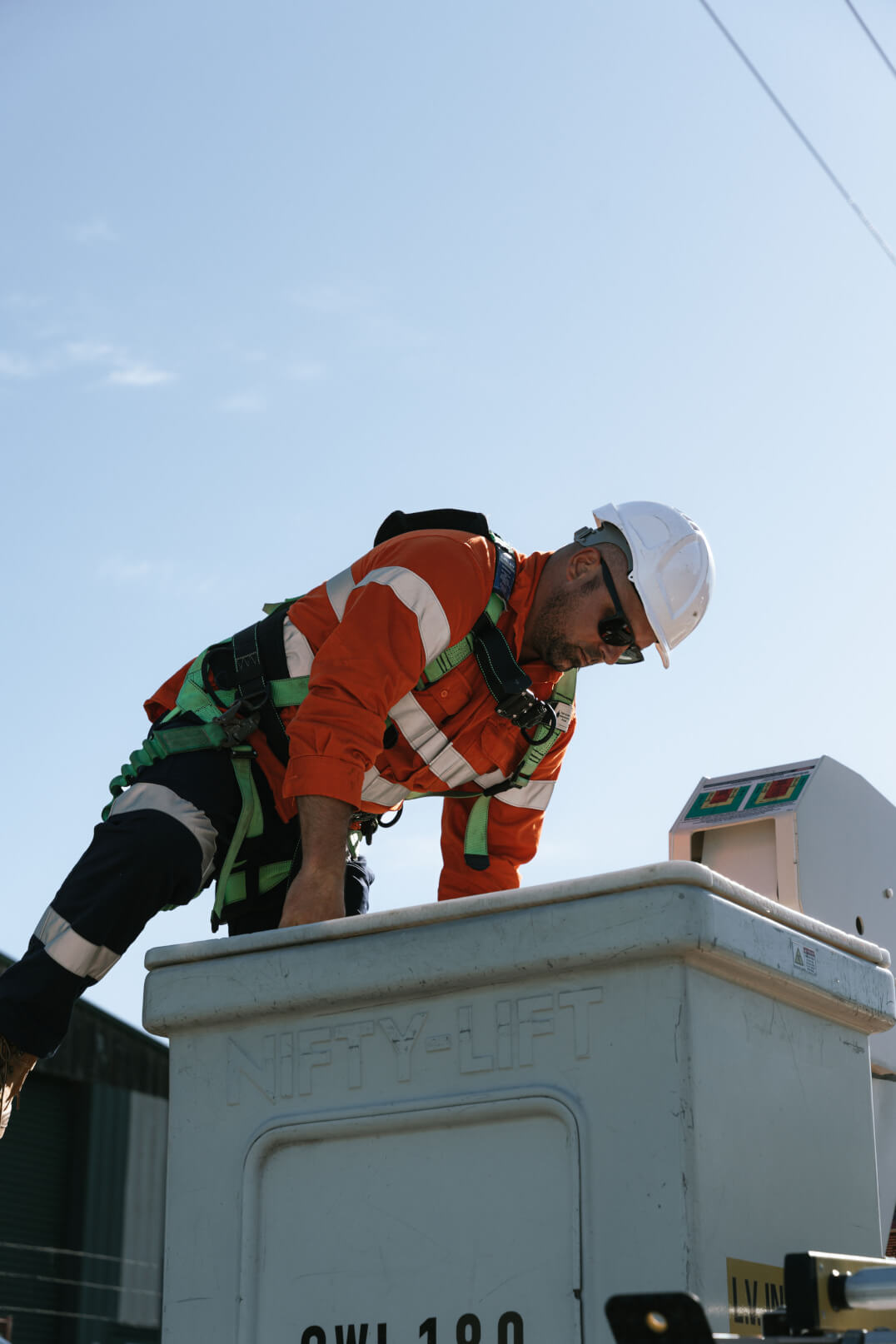 Macleayelec