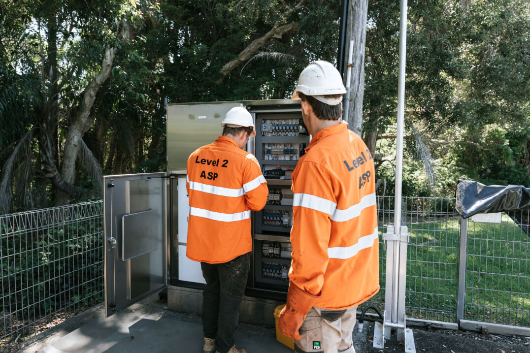 Macleayelec