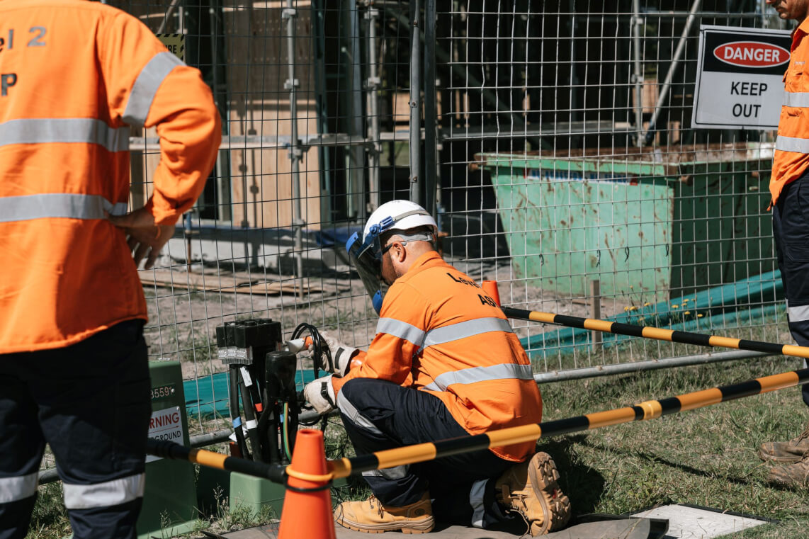 Macleayelec